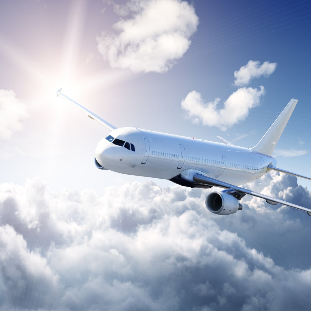 Fly og himmel