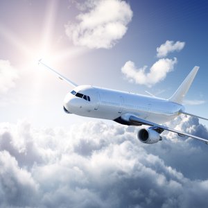 Fly og himmel